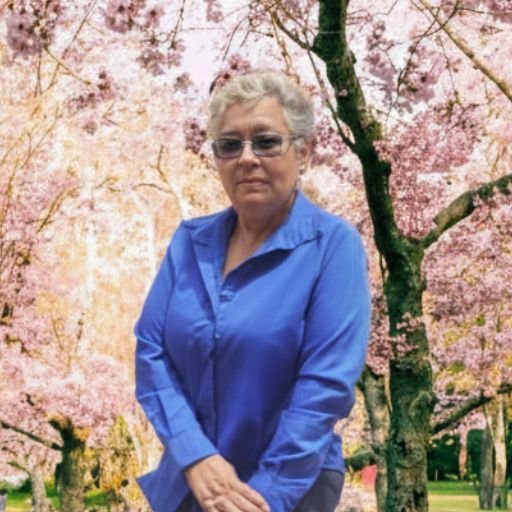 Sandra Asesora Profesional